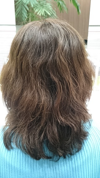 DSC_0903.JPG ayai.JPG